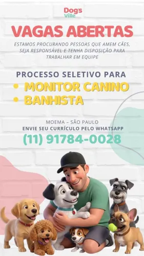 Monitor canino em Moema