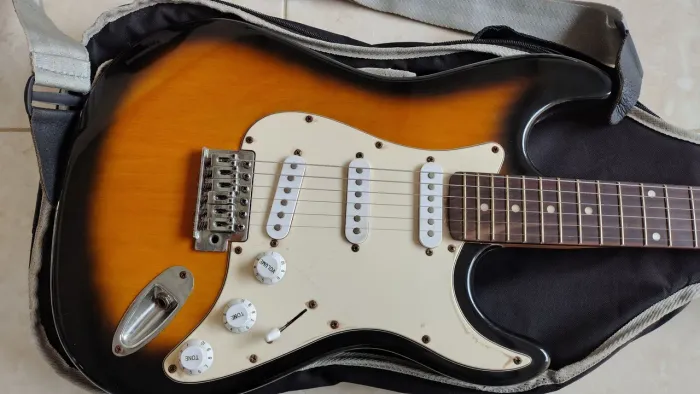 Guitarra Shelter USA