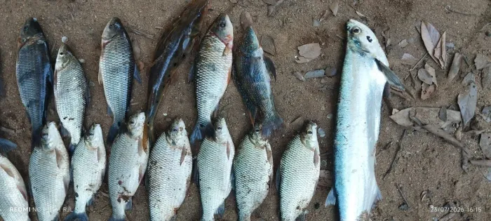 Rancho ótimo para pesca e lazer