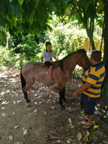 Animal doce criado filhote