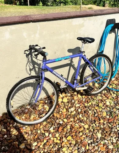 Bicicleta Monark Allure 96