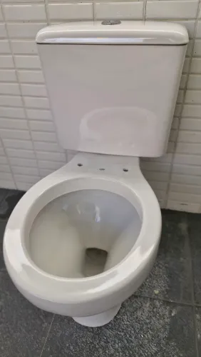 Vaso sanitario 300,00