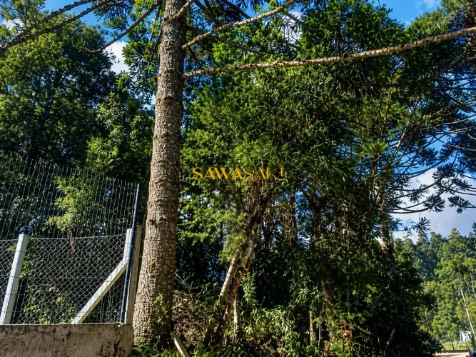 Terreno Lote para Venda em Rio de Una São José dos Pinhais-PR
