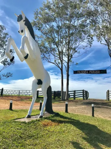 Fazenda 815 hectares - Agricultura