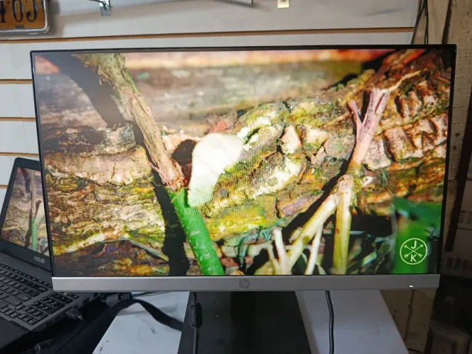Monitor Hp borda infinita 24 polegada entrada HDMI VGA display port imagens linda