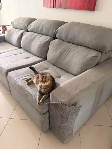 Sofá para renovar