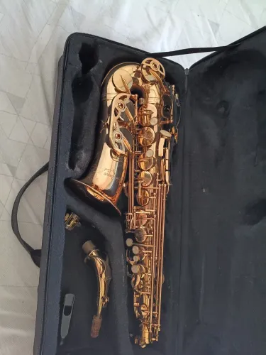 Vendo Sax Alto  Goodman 
