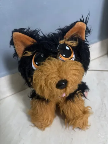 Adota Pets