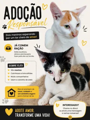 Adoção responsável