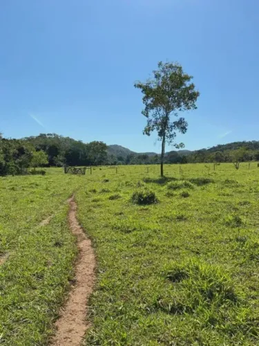 Fazenda em Paracatu MG de 213 hectares com 70 hectares de área plana ideal para criação de