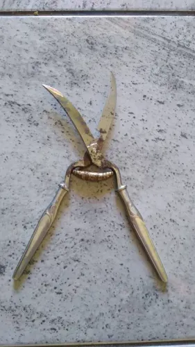 Antiga tesoura de cortar aves anos 80 uso enfeite decoração cozinha Antiga 