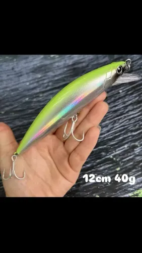 Isca artificial meia água 12cm 40g 