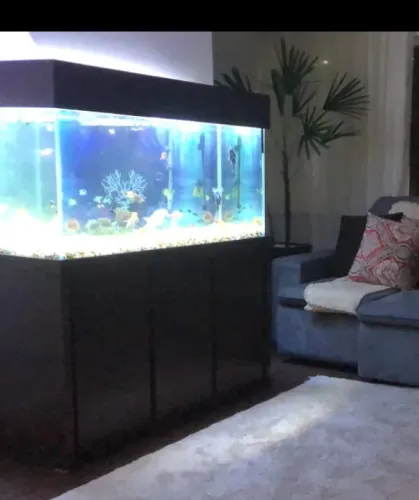 Aquário para peixes com móvel planejado
