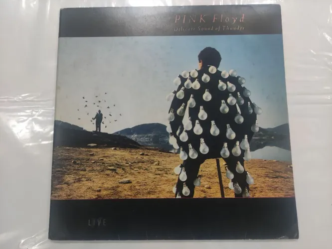 Pink Floyd - Delicate Sound of Thunder (Vinil)