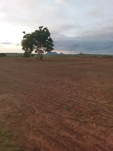 Fazenda à Venda em Barra do Garças - MT | 986 Hectares | Alta Área Aberta | Excelente Logí