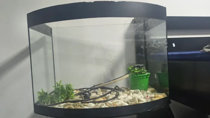 Aquário de 50L vidro curvo na frente 