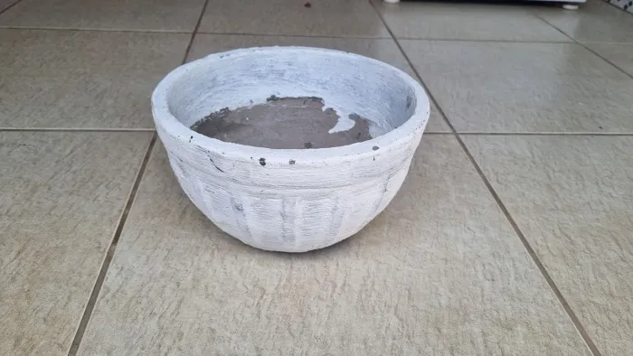 Vaso de Plantas
