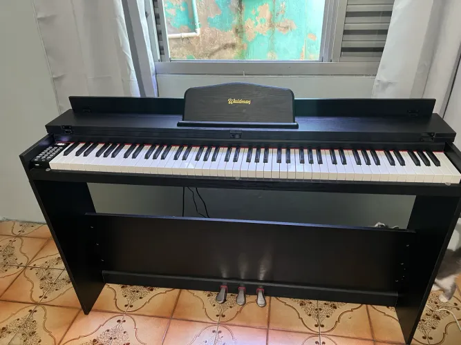 Piano Digital Waldman Legato DPLG-88 - 88 Teclas