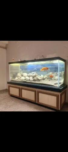 Aquário gigante