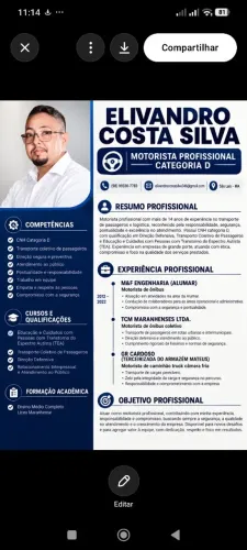 Motorista profissional