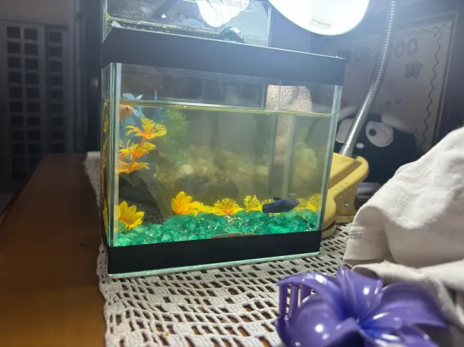 Aquário 9L 4L 2L