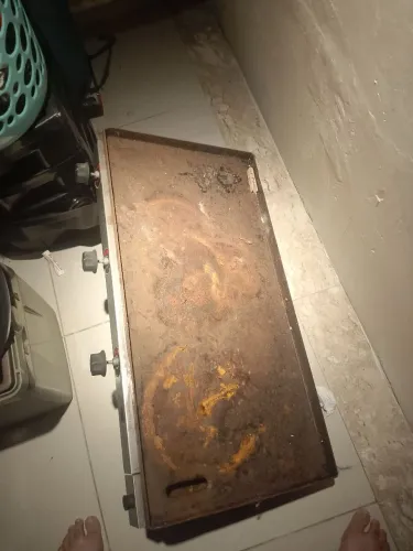 Chapa de hambúrguer industrial ZAP *