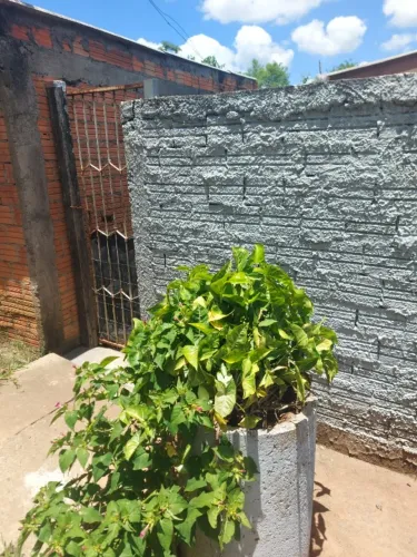 Terreno fundos murado 