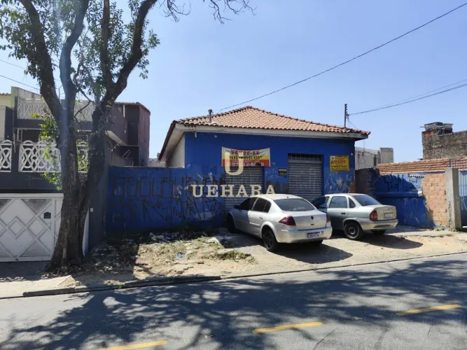 Comercial e casas de rendas - Casa Verde Alta - Zona Norte