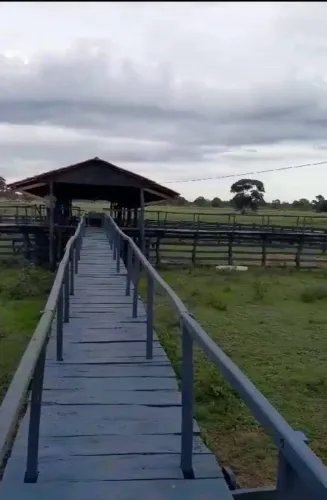 Fazenda em Pocone Mato Grosso de 8870 Hectares