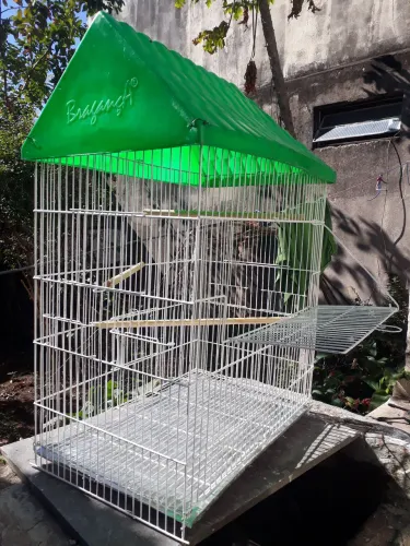 Vendo viveiro branco. Para aves mansas  Muito bonito. Barato