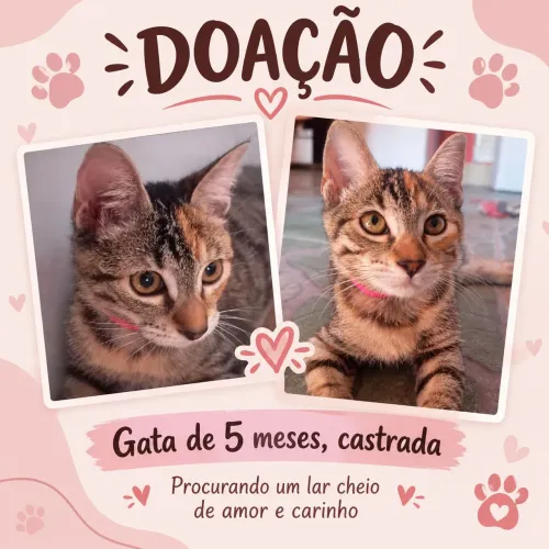 Doação