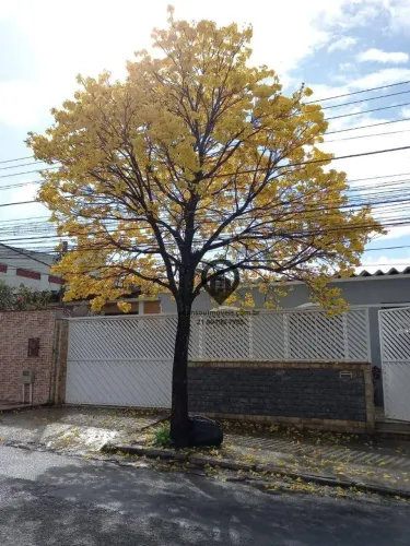 Casa com 3 quartos à venda, 270 m² por R$ 520.000 - próximo a Craque do Pão, Campo Grande