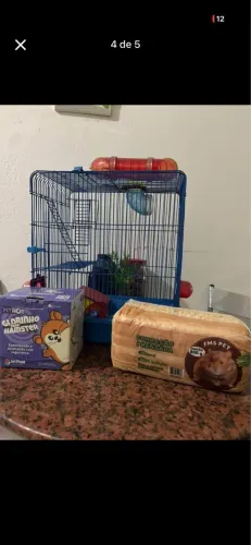 casinha pra hamster