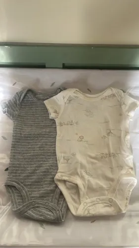 Body Carters