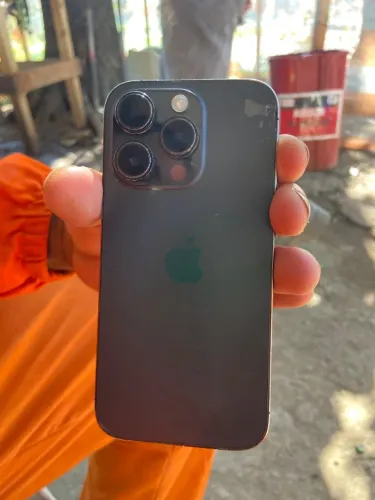 Celular