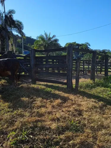 Fazenda a venda em Varjão - Goiás!!!