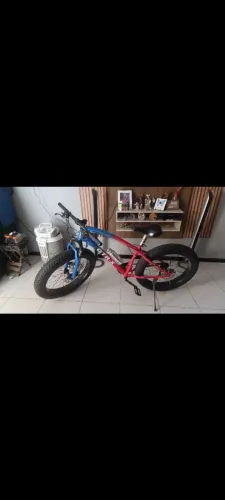 Fest bike