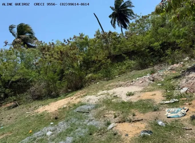 Terreno para Venda em São Miguel dos Milagres