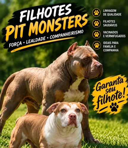 Filhotes de Pit Monsters disponível para reserva
