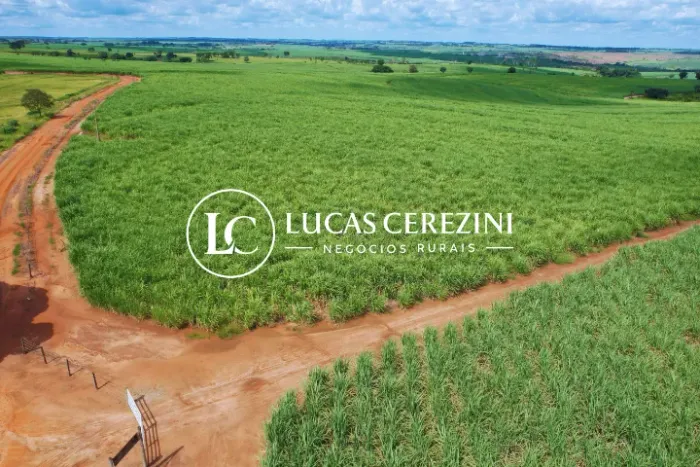 165 Alqueires em cana 45 ton/ano 121.97 ATR
