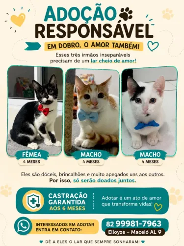 Adoção Responsável 