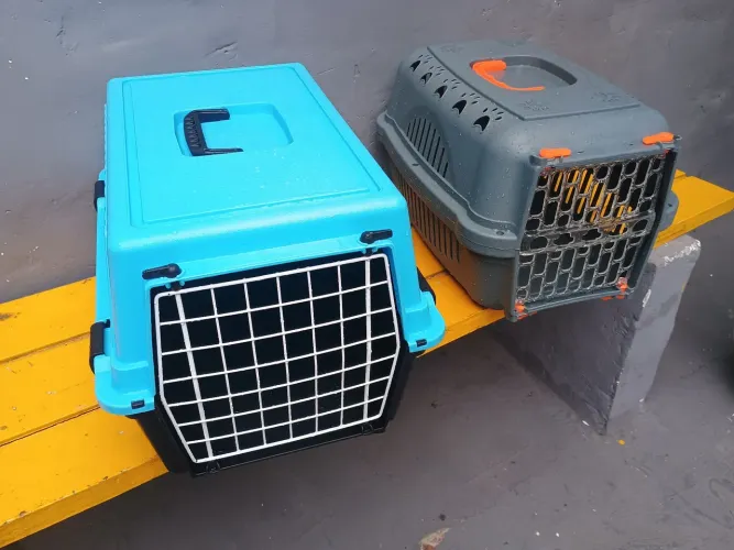 Casa pet