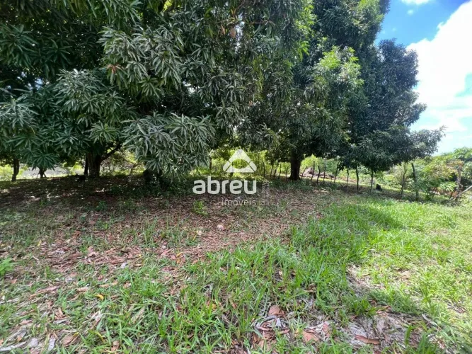 Terreno Padrão em Natal