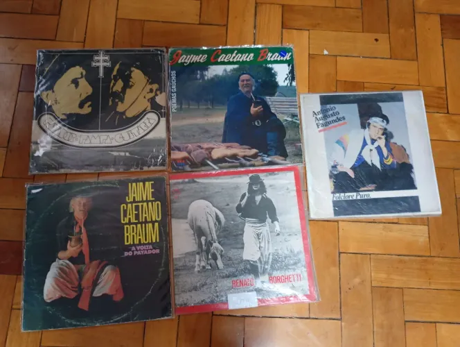 Lote de lps Gaucho e nativismo (Jaime Caetano Braum, Borghetti, Fagundes)