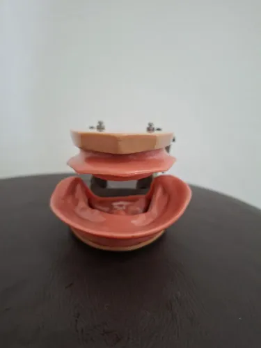 Manequim de estudo de prótese