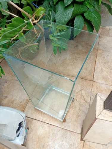 Vaso de vidro gde para plantas e decoração 