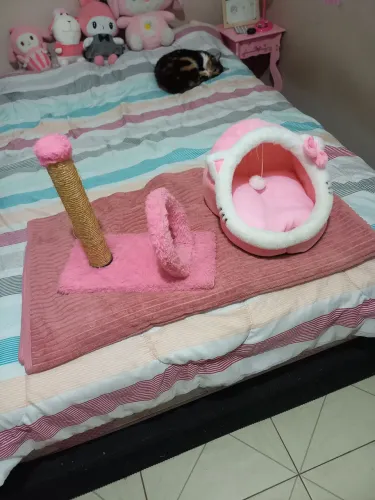 cama de gato e arranhador de gato
