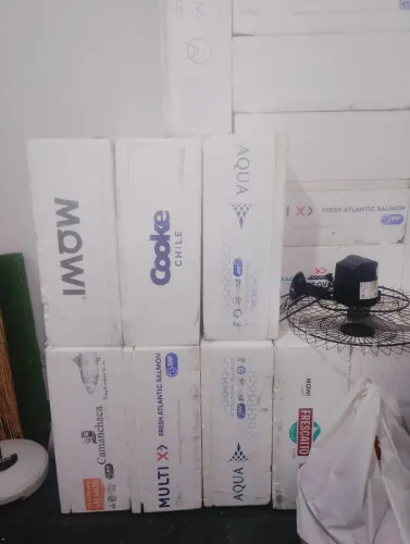 Vende-se caixa de isopor grande, galoes de 20L