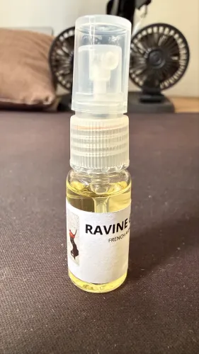 Perfume Compartilhável Ravine Ginger French Avenue - Decant 5ml