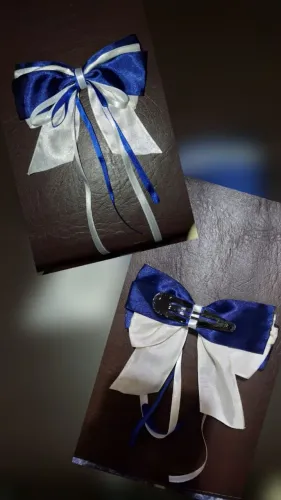 Laço de cetim para cabelo (2 unidades)